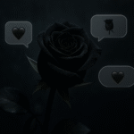 what does a black rose mean